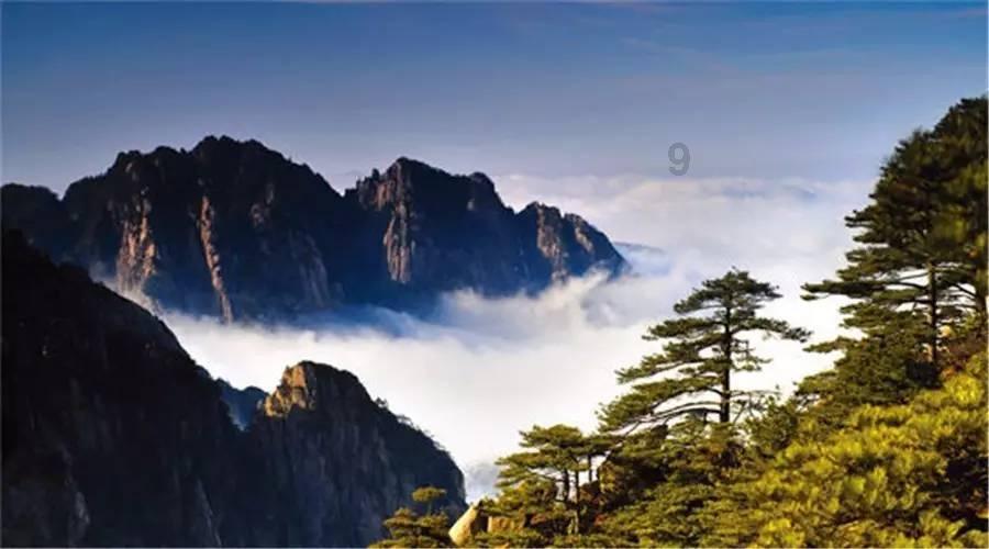 解惑交流,买回来的玩具帐篷有甲醛吗?,58问答平台